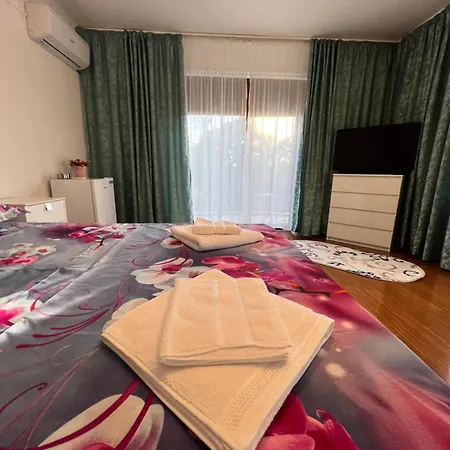 בית הארחה Casa Cristian 3*